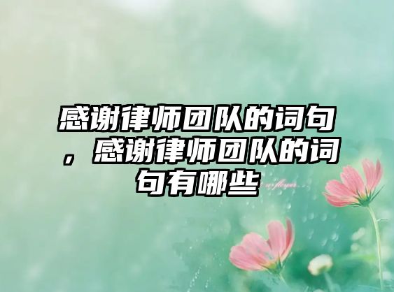 感謝律師團隊的詞句，感謝律師團隊的詞句有哪些