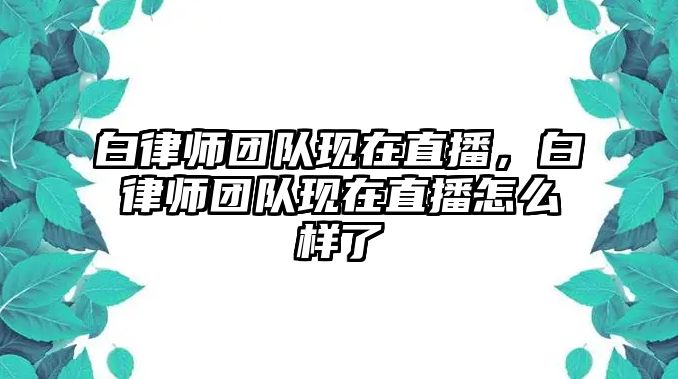 白律師團隊現在直播，白律師團隊現在直播怎么樣了