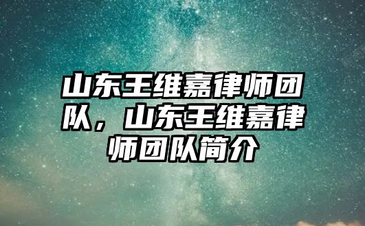 山東王維嘉律師團隊，山東王維嘉律師團隊簡介