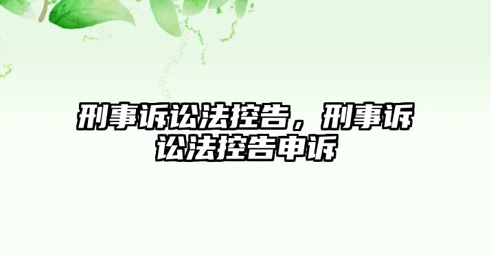 刑事訴訟法控告，刑事訴訟法控告申訴