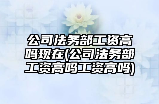 公司法務部工資高嗎現在(公司法務部工資高嗎工資高嗎)