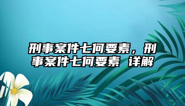 刑事案件七何要素，刑事案件七何要素 詳解