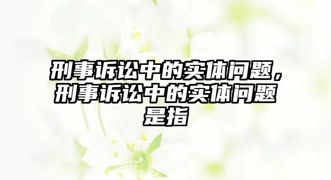 刑事訴訟中的實體問題，刑事訴訟中的實體問題是指