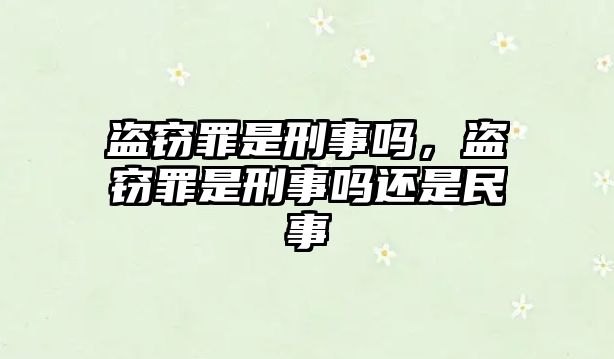 盜竊罪是刑事嗎，盜竊罪是刑事嗎還是民事