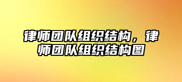 律師團隊組織結構，律師團隊組織結構圖