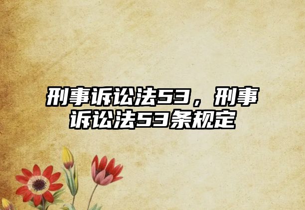 刑事訴訟法53，刑事訴訟法53條規定