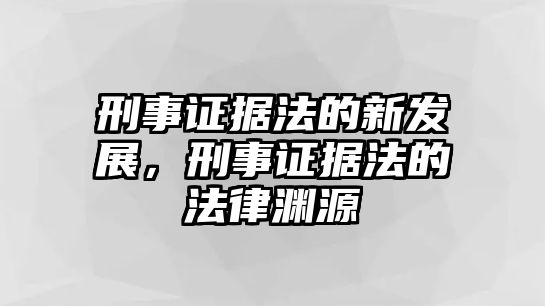 刑事證據法的新發展，刑事證據法的法律淵源