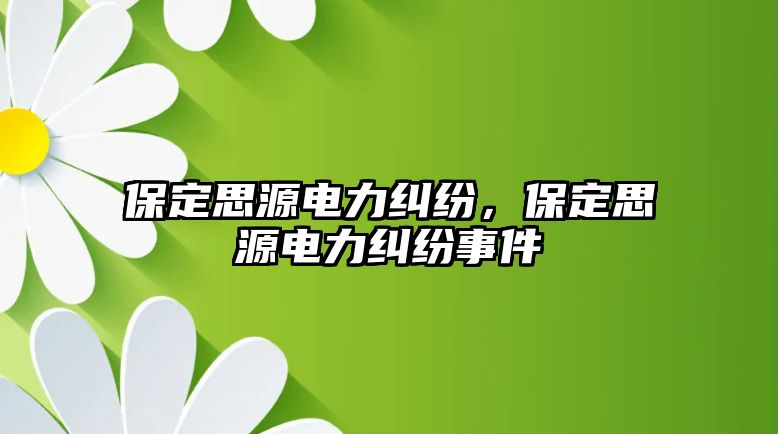 保定思源電力糾紛，保定思源電力糾紛事件