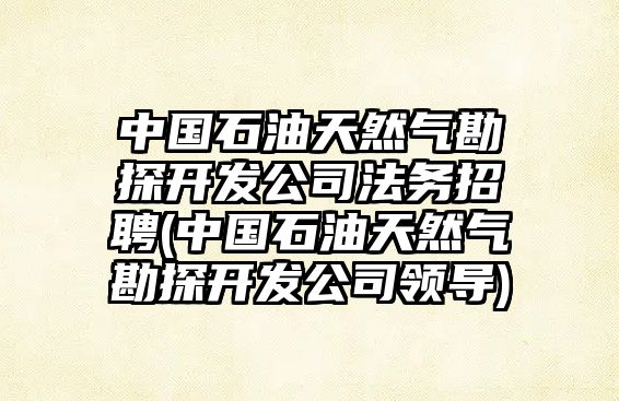 中國石油天然氣勘探開發公司法務招聘(中國石油天然氣勘探開發公司領導)