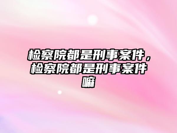 檢察院都是刑事案件，檢察院都是刑事案件嘛