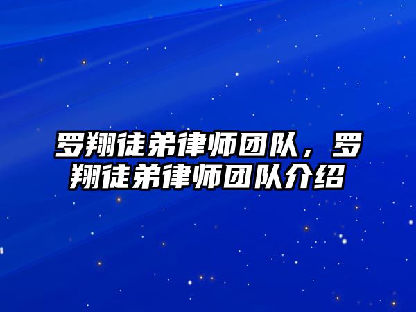 羅翔徒弟律師團隊，羅翔徒弟律師團隊介紹