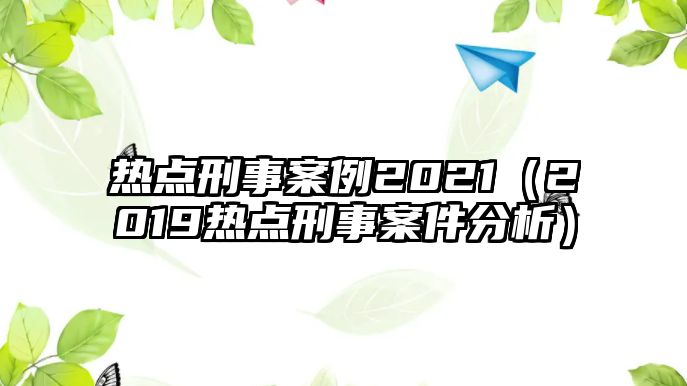 熱點刑事案例2021（2019熱點刑事案件分析）