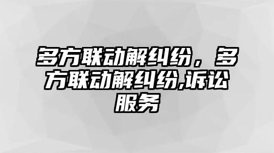 多方聯動解糾紛，多方聯動解糾紛,訴訟服務