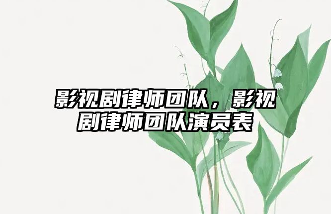 影視劇律師團隊，影視劇律師團隊演員表