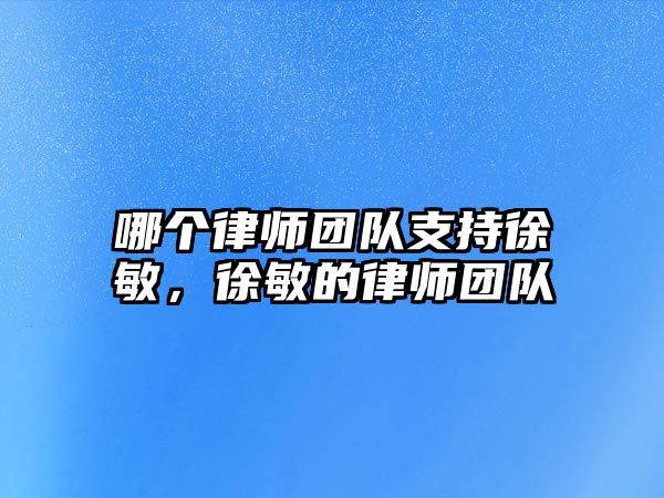 哪個律師團隊支持徐敏，徐敏的律師團隊