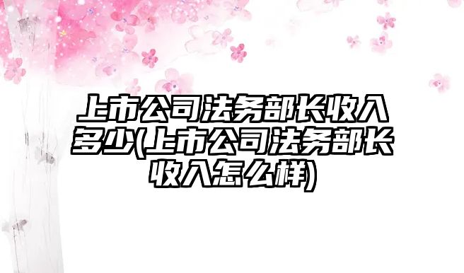 上市公司法務部長收入多少(上市公司法務部長收入怎么樣)