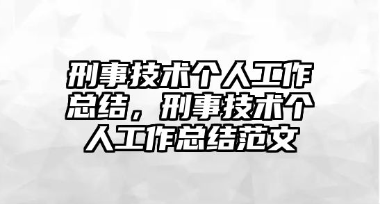 刑事技術個人工作總結，刑事技術個人工作總結范文