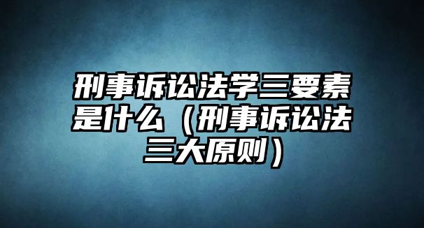 刑事訴訟法學三要素是什么（刑事訴訟法三大原則）