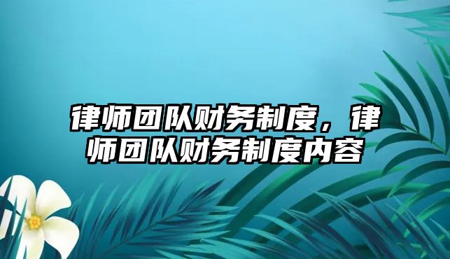 律師團隊財務制度，律師團隊財務制度內容