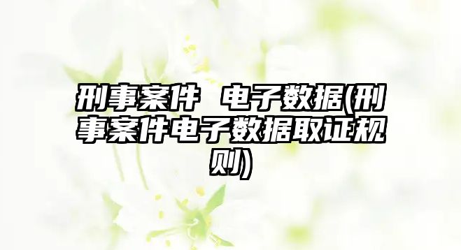 刑事案件 電子數據(刑事案件電子數據取證規則)