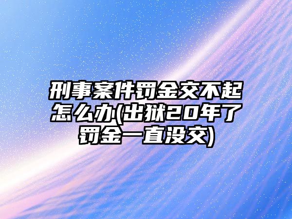 刑事案件罰金交不起怎么辦(出獄20年了罰金一直沒交)