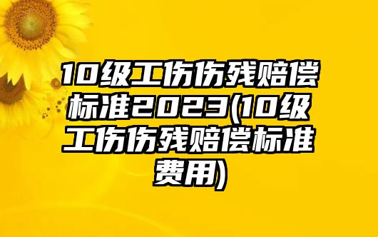 10級工傷傷殘賠償標準2023(10級工傷傷殘賠償標準費用)