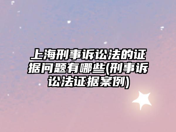 上海刑事訴訟法的證據問題有哪些(刑事訴訟法證據案例)