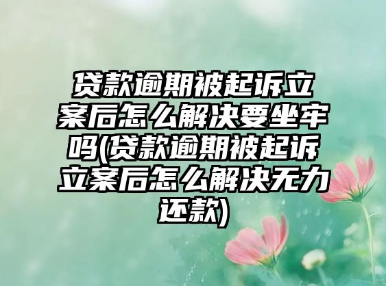 貸款逾期被起訴立案后怎么解決要坐牢嗎(貸款逾期被起訴立案后怎么解決無力還款)