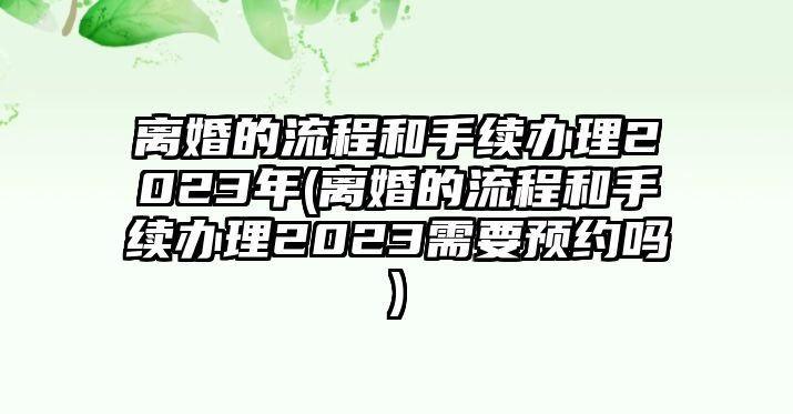 離婚的流程和手續辦理2023年(離婚的流程和手續辦理2023需要預約嗎)