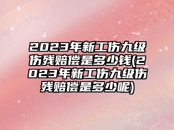 2023年新工傷九級傷殘賠償是多少錢(2023年新工傷九級傷殘賠償是多少呢)