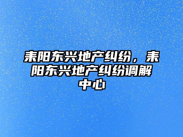 耒陽東興地產糾紛，耒陽東興地產糾紛調解中心