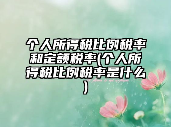 個人所得稅比例稅率和定額稅率(個人所得稅比例稅率是什么)