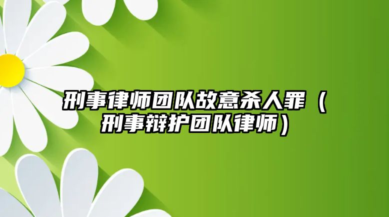 刑事律師團隊故意殺人罪（刑事辯護團隊律師）