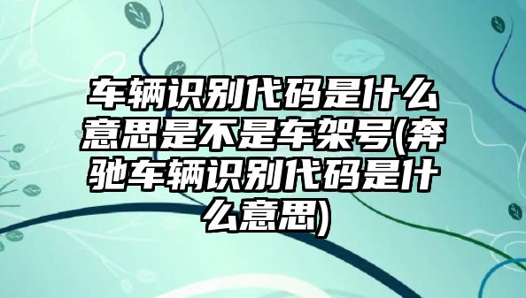 車輛識別代碼是什么意思是不是車架號(奔馳車輛識別代碼是什么意思)