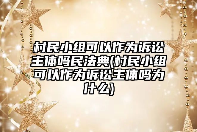 村民小組可以作為訴訟主體嗎民法典(村民小組可以作為訴訟主體嗎為什么)