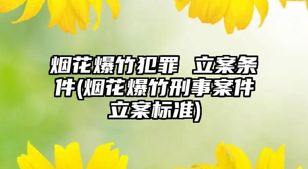 煙花爆竹犯罪 立案條件(煙花爆竹刑事案件立案標準)