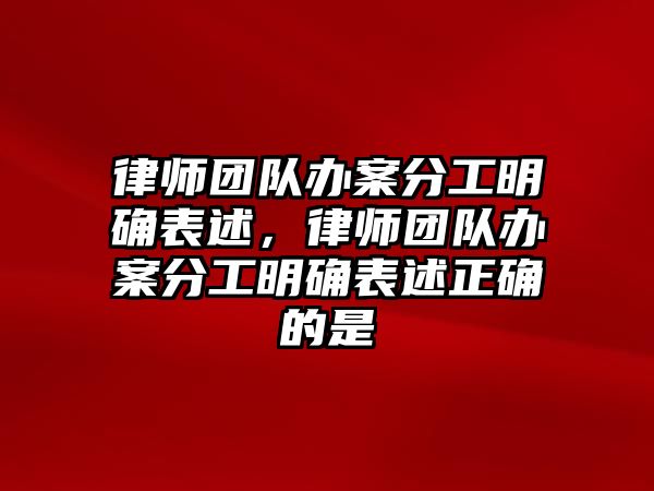 律師團隊辦案分工明確表述，律師團隊辦案分工明確表述正確的是