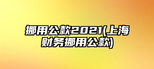 挪用公款2021(上海財(cái)務(wù)挪用公款)