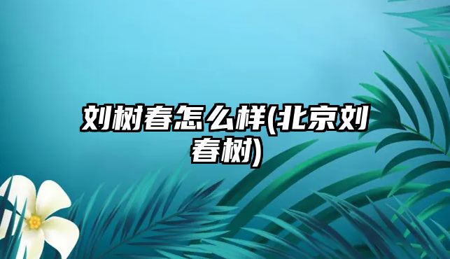 劉樹春怎么樣(北京劉春樹)