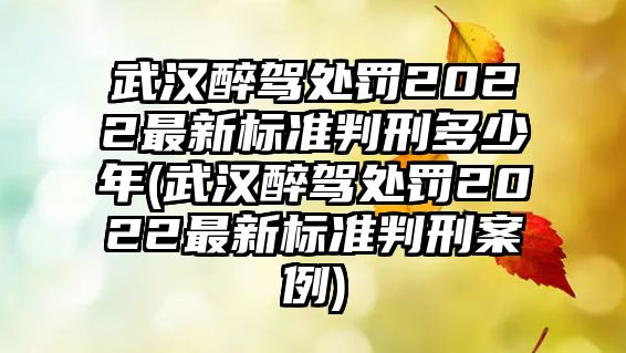 武漢醉駕處罰2022最新標準判刑多少年(武漢醉駕處罰2022最新標準判刑案例)