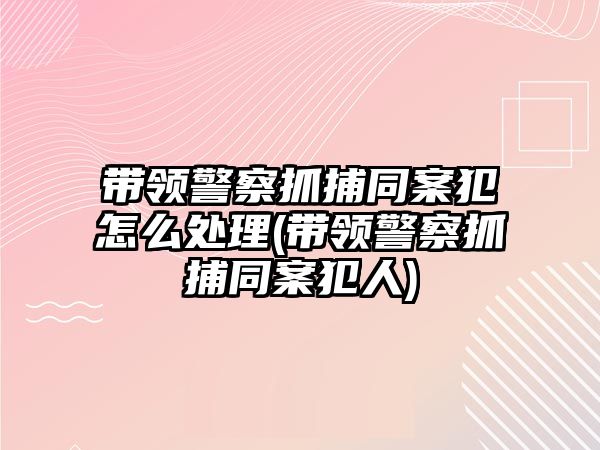 帶領警察抓捕同案犯怎么處理(帶領警察抓捕同案犯人)