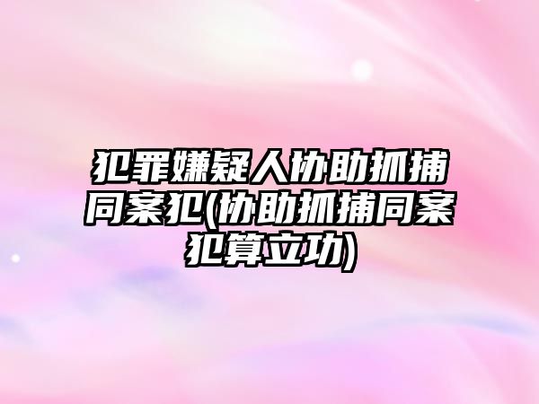 犯罪嫌疑人協助抓捕同案犯(協助抓捕同案犯算立功)