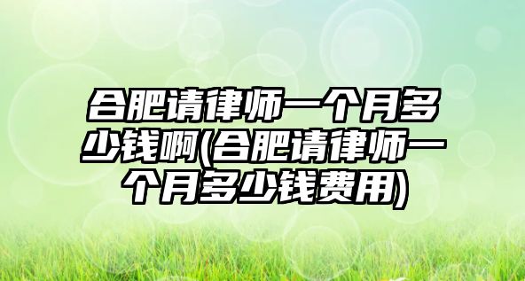 合肥請律師一個月多少錢啊(合肥請律師一個月多少錢費用)