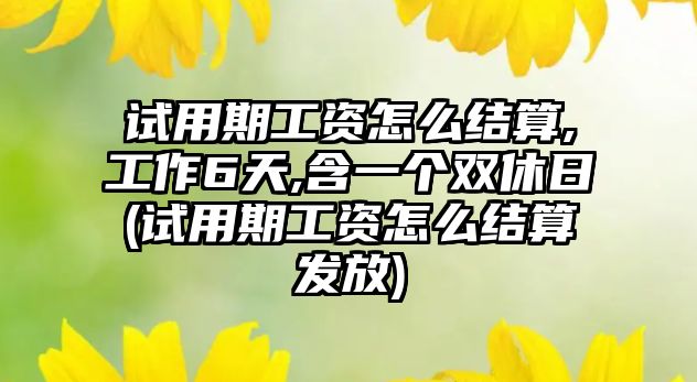 試用期工資怎么結算,工作6天,含一個雙休日(試用期工資怎么結算發放)