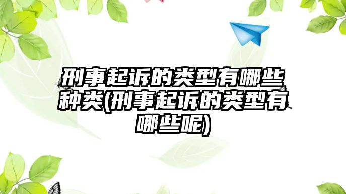 刑事起訴的類型有哪些種類(刑事起訴的類型有哪些呢)