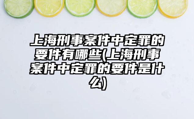 上海刑事案件中定罪的要件有哪些(上海刑事案件中定罪的要件是什么)