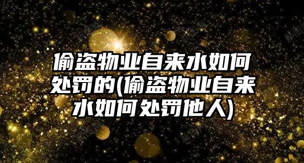 偷盜物業自來水如何處罰的(偷盜物業自來水如何處罰他人)