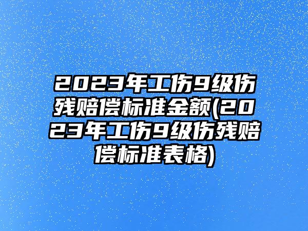 2023年工傷9級傷殘賠償標準金額(2023年工傷9級傷殘賠償標準表格)