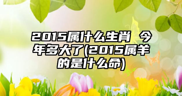 2015屬什么生肖 今年多大了(2015屬羊的是什么命)