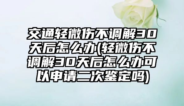 交通輕微傷不調解30天后怎么辦(輕微傷不調解30天后怎么辦可以申請二次鑒定嗎)